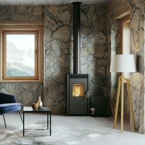 Freestanding stove Defro Home VIVA viva 300x300 - Freestanding stove Defro Home VIVA